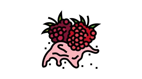 Splash raspberry fruit berry color icon animation Stock Footage 225062303