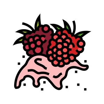Splash raspberry fruit berry color icon vector illustration イラスト素材
