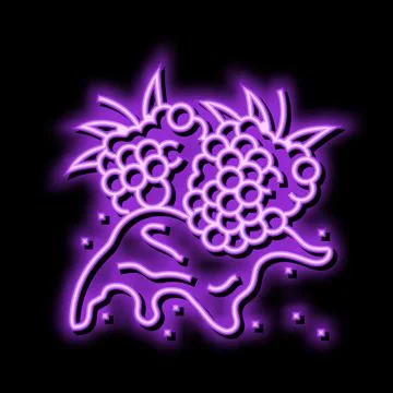 Splash raspberry fruit berry neon glow icon illustration イラスト素材