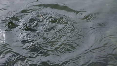 Splash Ripple Slow-Motion Видео 331666255