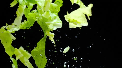 Splash up salad 1 Stock Footage 169225062