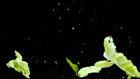 Splash up salad bottom Stock Footage 169225110