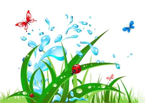 Splash water and grass Stock Illustration