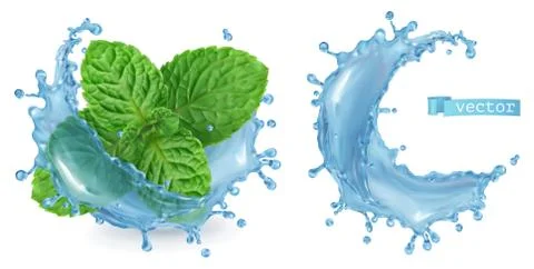 Splash water and mint. 3d realistic vector Stock Illustration