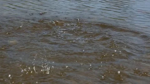 Splash in water 库存影片 79960230