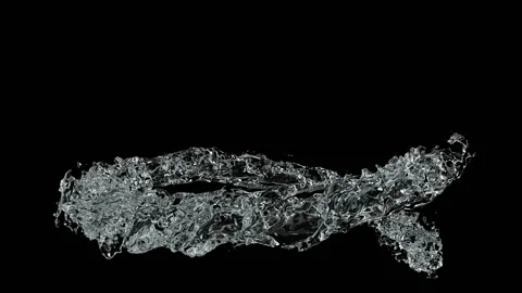 Splash water 스톡 동영상 89676785