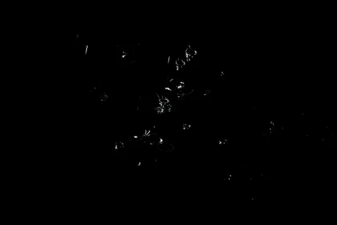 Splash of water. Isolate on black background Stock Photos