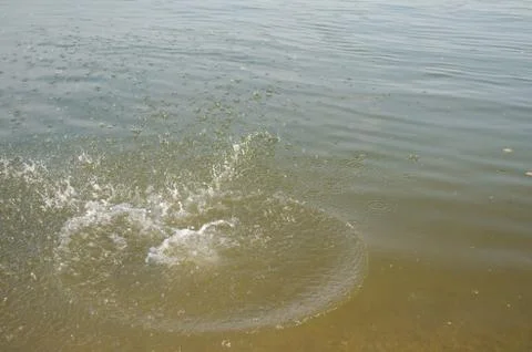 Splash of water 库存照片