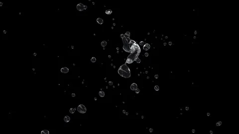 Splash of Water with Splashes and Droplets Stock-Footage 288932702
