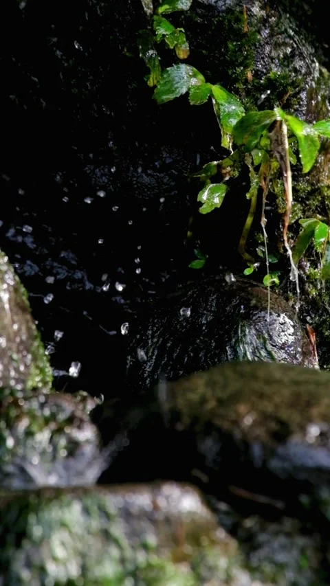 Splash of water from a spring falling on a rock Stock Footage 320953207