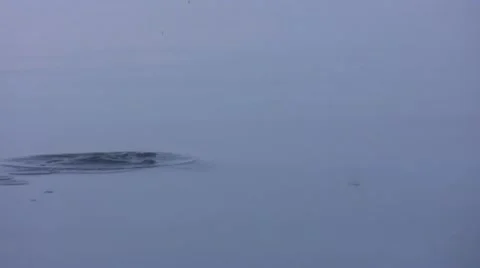 Splash on water surface Stock Footage 10820027