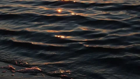 The splash of the waves in the setting sun. Video stock 233578191