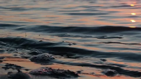 The splash of the waves in the setting sun. Video stock 233578220