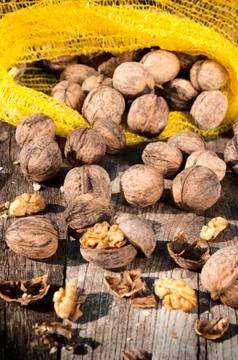 Splashed walnuts Stock Photos