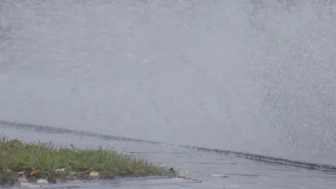 Splashes from car wheels on the road while driving through puddles in the city Video stock 309917556