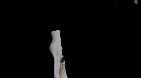 Splashes of champagne Stock Footage 68156982