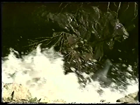 Splashes Of Champagne Stock Footage 336524340