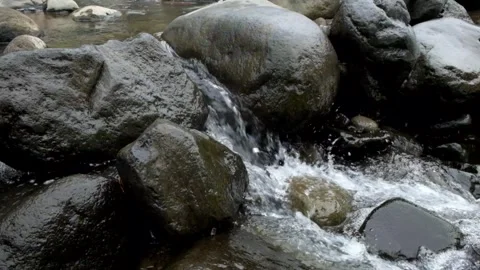 Splashes of a creek that falls on a rock Video stock 306763062