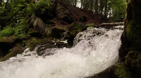 Splashes foaming white water tend to down the mountain forest trail close up Stock Footage 43939509