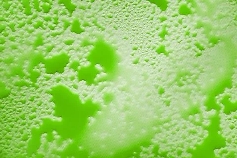 Splashes of green liquid, drips on a white background. A fluid extract of a Stock Photos