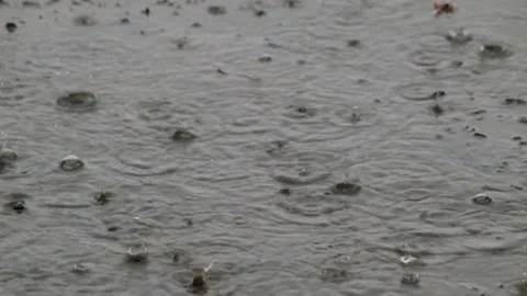 Splashes of heavy rainwater falling on the concrete floor Video stock 291531767