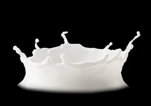 Splashes of milk on a black background. Stock Photos