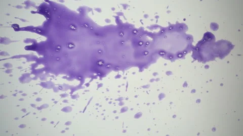 Splashes paints in slow motion Stock Footage 99749507