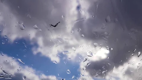   Splashes of rain on the glass Stock Footage 81744400