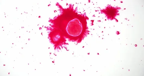 Splashes Of Red Paint On A White Background Stock Footage 182844515