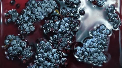 Splashes of red wine with black grape bunches close-up. Wine production Stock Footage 268744011