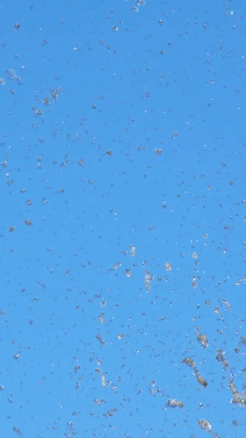 Splashes of water against a background of a cloudless blue sky. Slow motion. Stock Footage 285415932