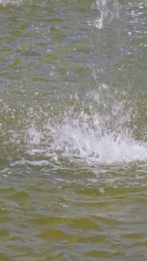 Splashes of water on the background of the water surface. Slow motion. Stock Footage 285417532