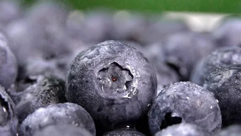 Splashes of water droplets. Water falling on blueberries in slow motion Stock Footage 248775331