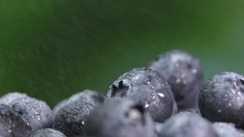 Splashes of water droplets. Water falling on blueberries in slow motion Vidéo 248791022