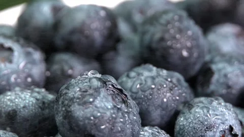 Splashes of water droplets. Water falling on blueberries in slow motion Vidéo 248791320