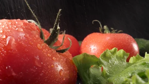 Splashes of water fall on the tomatoes and other vegetables. Close up. Black bac Stock Footage 144334364