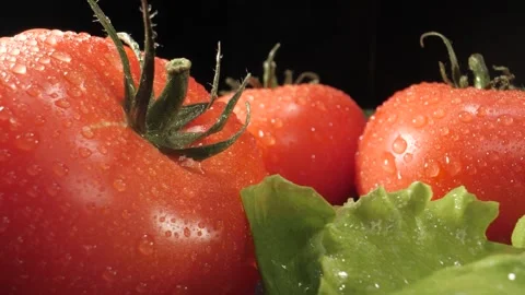 Splashes of water fall on the tomatoes and other vegetables. Close up. Black bac Видео 144334488