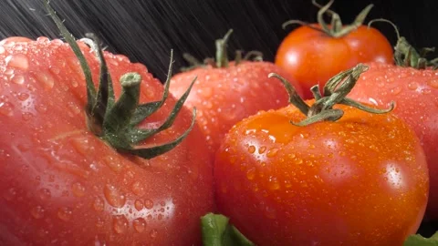 Splashes of water fall on the tomatoes and other vegetables. Close up. Black bac Stock Footage 144334523