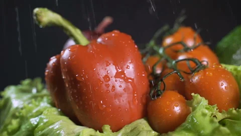Splashes of water fall on the tomatoes and other vegetables. Close up. Black Stock Footage 150295042