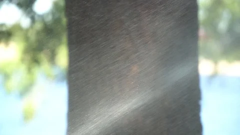 Splashes of water fall under pressure on tree Stock Footage 93558207