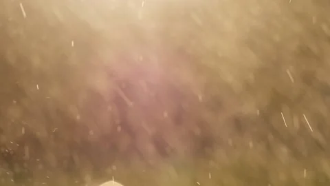 Splashes of water, raindrops on a blurred background in the sunlight Vídeos de archivo 130264999