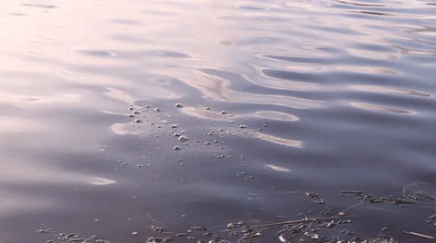 Splashes on water from a stone Stock Footage 22909833