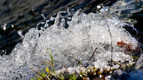 Splashes on a water surface 写真素材
