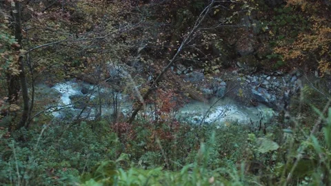 Splashing brook is flowing through the stones in fall forest. rapid creek is Stock Footage 204073838