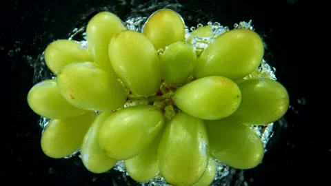 Splashing Fresh Grapes Stock Footage 256241095