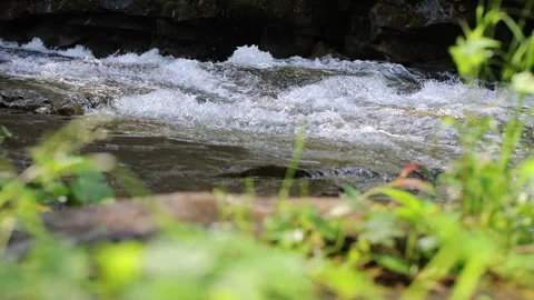 Splashing Mountain Stream Stock Footage 310451267