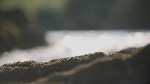 Splashing river Stock Footage 88352720