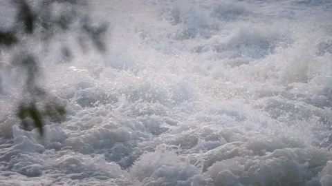 Splashing River Water with Foreground Tree Branch in Slow Motion Stock Footage 338447812