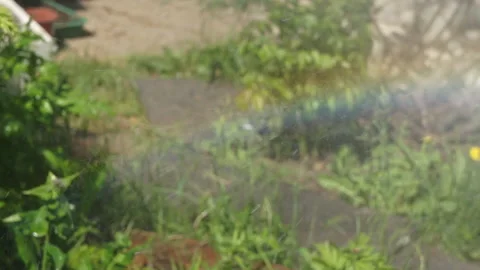 Splashing water in the garden forms a small rainbow Stock Footage 131258196