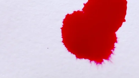 Splaterring red ink on parchment paper and then painting over with paint brush. Vídeo Stock 84819766